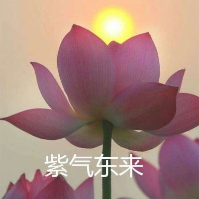 暗黑修仙福利版下载