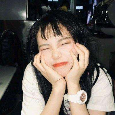 混乱的鸟破解版下载